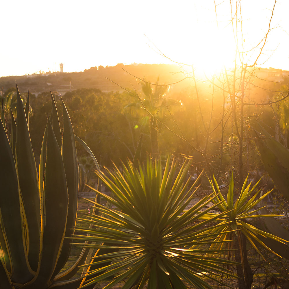 Rolling Shuttle, Fotografie