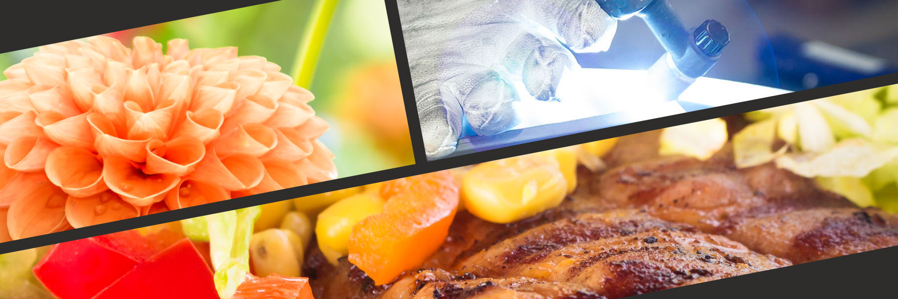 Rolling Shuttle, Fotografie, Headimg